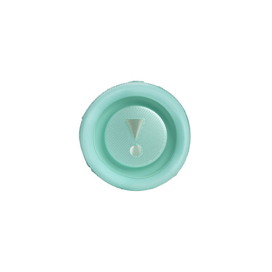 Bocina JBL Flip 6 | Bluetooth IP67 – 30 W RMS, Resistente al Agua y Polvo