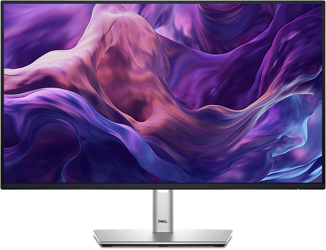 Monitor - Dell P2425HE - LCD monitor - 23.8